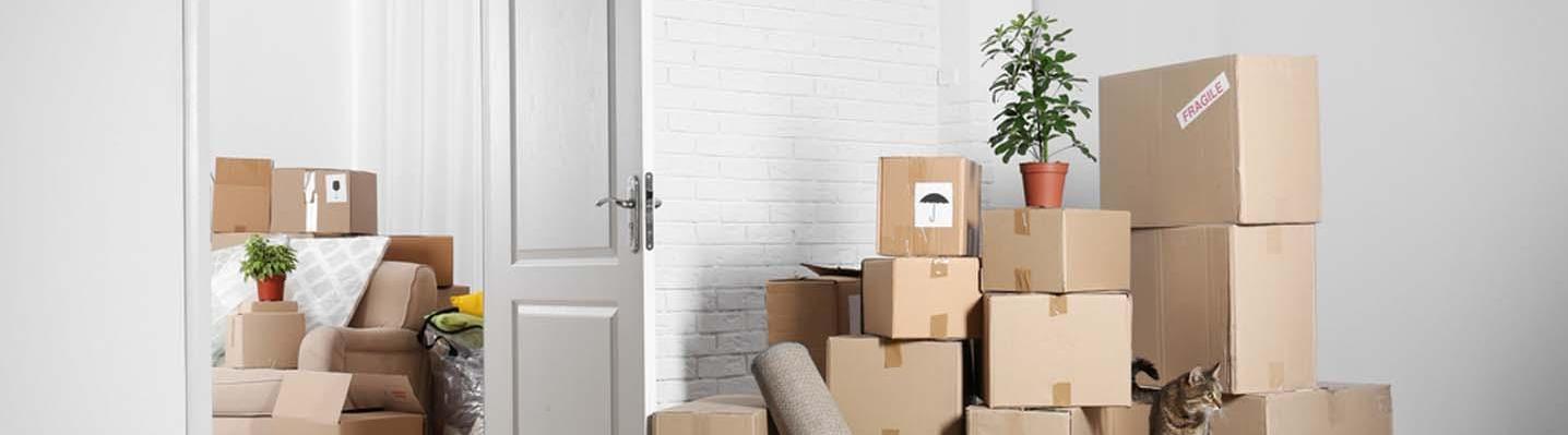 moverandpackersdubai
