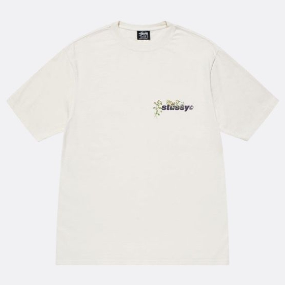 stussy77344