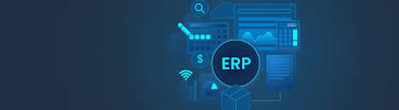 digitalcrewerpsolutions