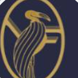 Verbatim Financial