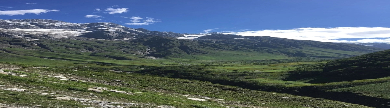 valleyofflowersindia