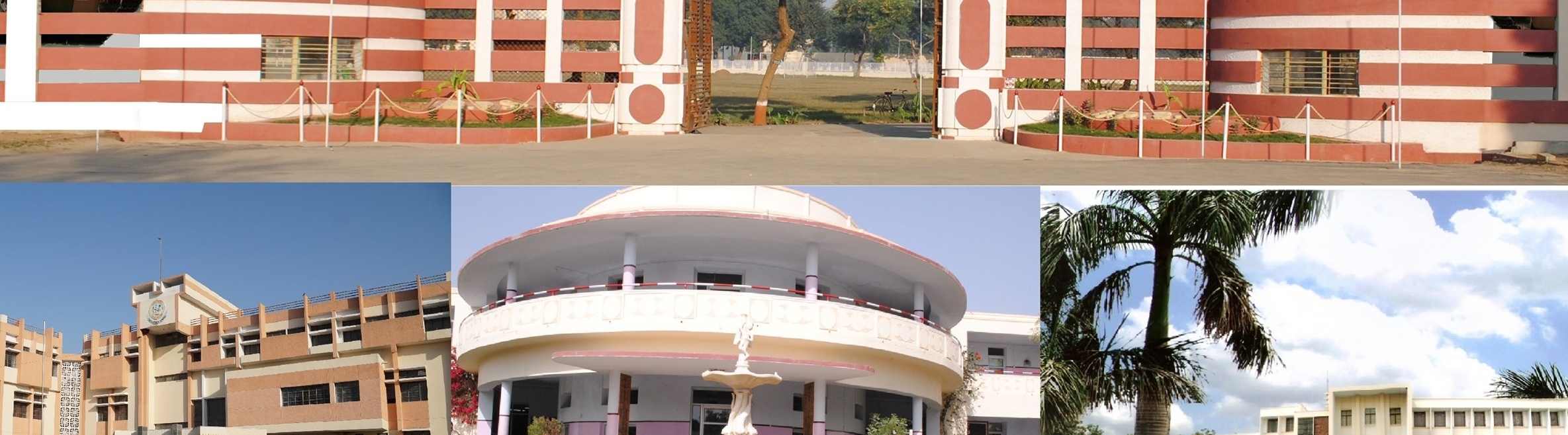 birlapublicschool
